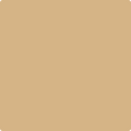 Benjamin Moore Color 1110 Tawny Bisque