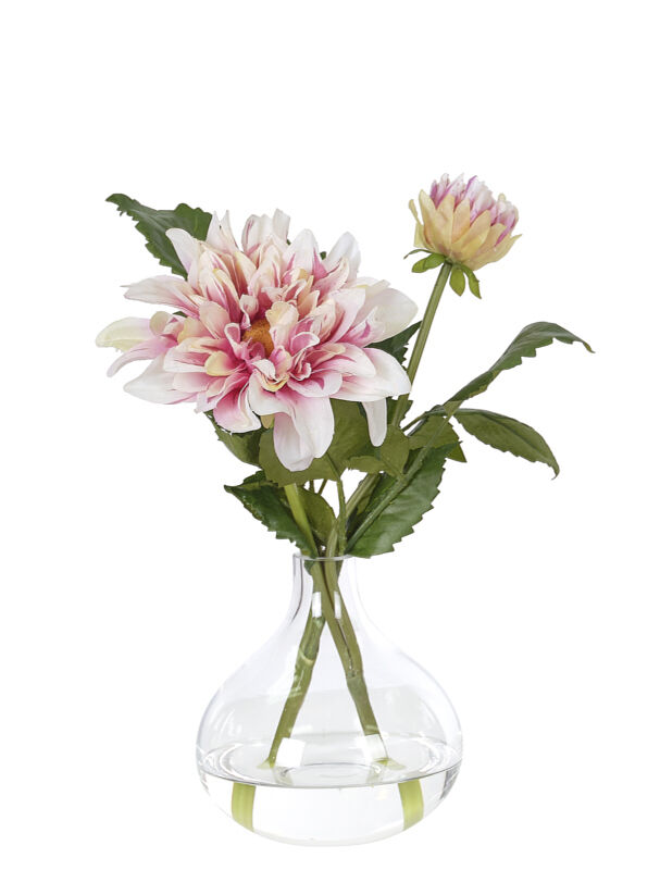 12" DAHLIA ROSE IN GLASS BUBBLE