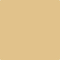 Benjamin Moore Color 193 Dijon