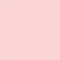 2009-60 Pink Seashell