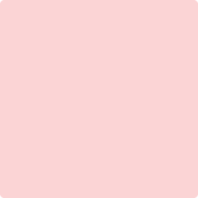 2009-60 Pink Seashell