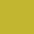 2024-10 Chartreuse