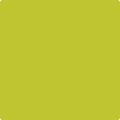 2027-30 Electric Lime
