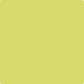 2027-40 Grape Green