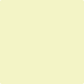 2027-60 Light Daffodil