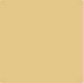 Benjamin Moore Color Davincis Canvas 208