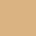 Benjamin Moore Color 2165-40 Dark Beige