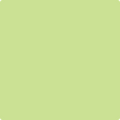 Benjamin Moore Color 411 Celtic Folklore