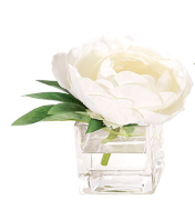 5" WHITE PEONY IN GLASS CUBE