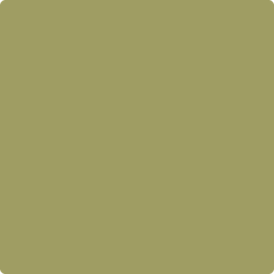 Benjamin Moore Color 531 Ponderosa Pine