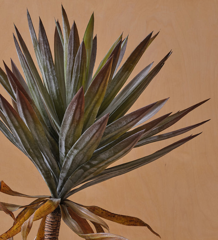 Artificial Yucca Plant