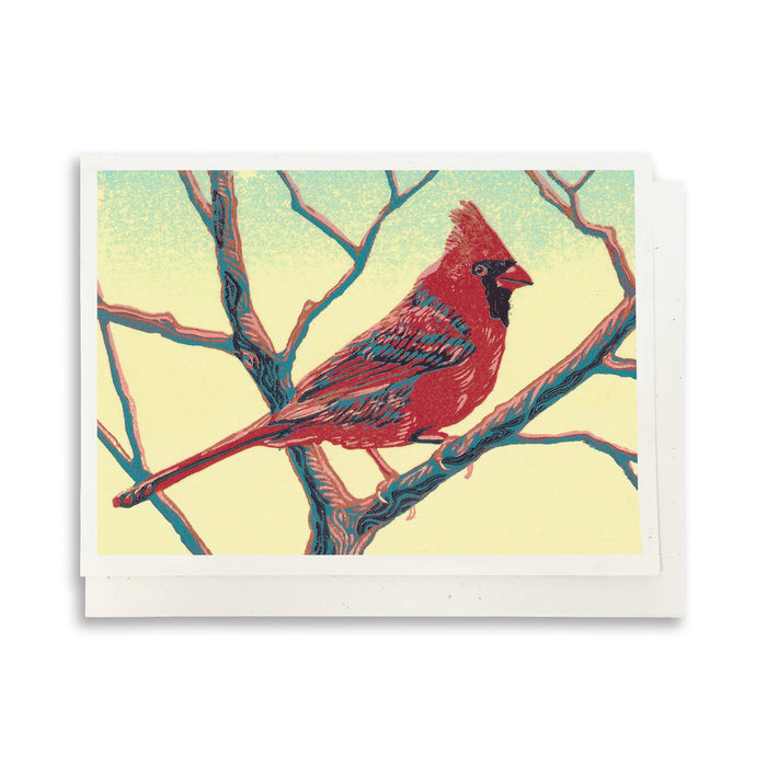 Assorted Wildlife (Woodland Critters) Greeting Card Boxed Set