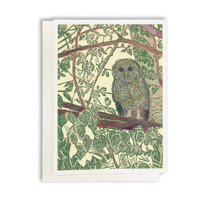 Assorted Wildlife (Woodland Critters) Greeting Card Boxed Set