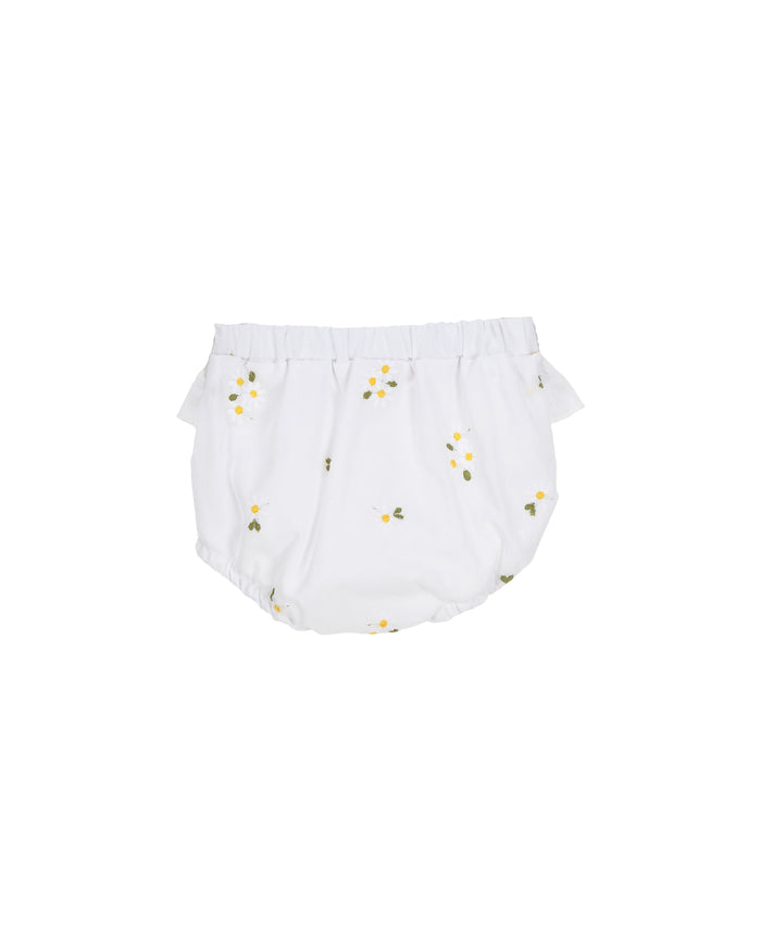 Bloomer Set 'Margarita' Daisies
