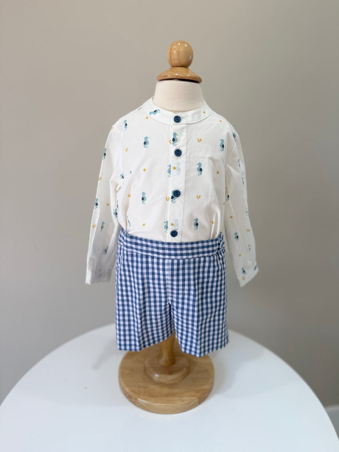 Boy Set Seahorse