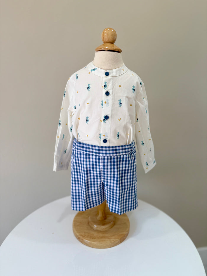 Boy Set Seahorse