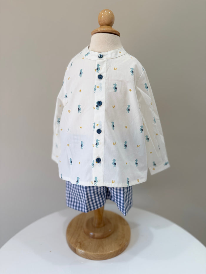Boy Set Seahorse
