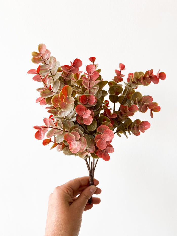 Burgundy Eucalyptus Bush