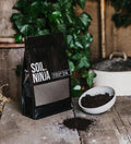 Cacti & succulent blend