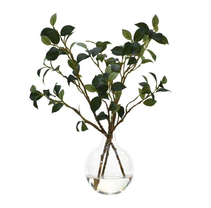 CAMELLIA LEAF BRANCH