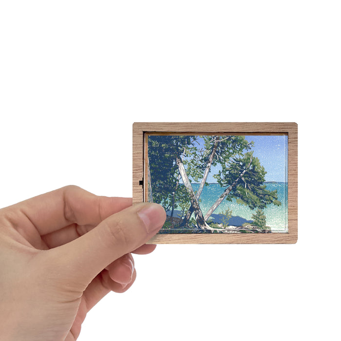 Cedar Beach Magnet