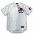 Nike Chicago Cubs 2025 Limited Edition jersey size XL with player number 2 and Hoerner name, featuring team logo and design details.