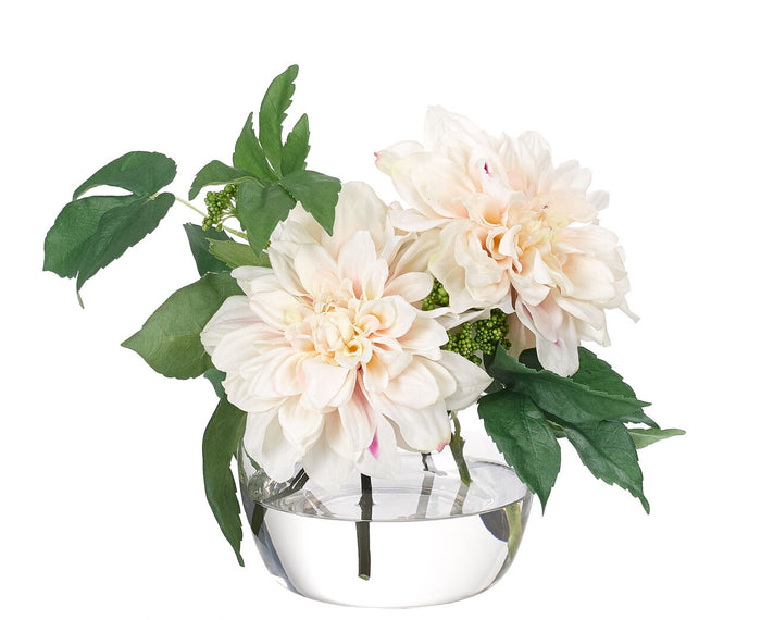 DAHLIA IN GLASS VASE