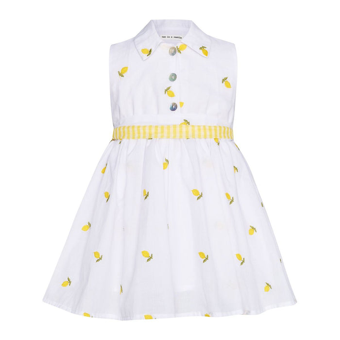 Dress 'Fruit Salad' Lemons