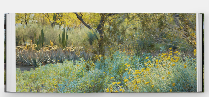 Envisioning Landscapes: The Transformative Environments of OJB
