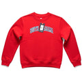 Red Fabletics South Alabama Jaguars fleece pullover sweatshirt for adults, small size, featuring team logo and comfortable fleece material.