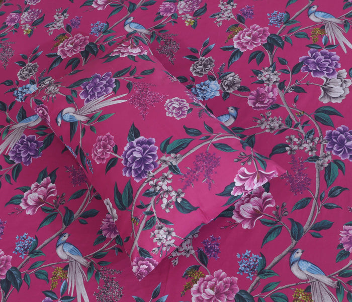 Fitted Double Bed Sheet DS 261 - Nishat Creative Store