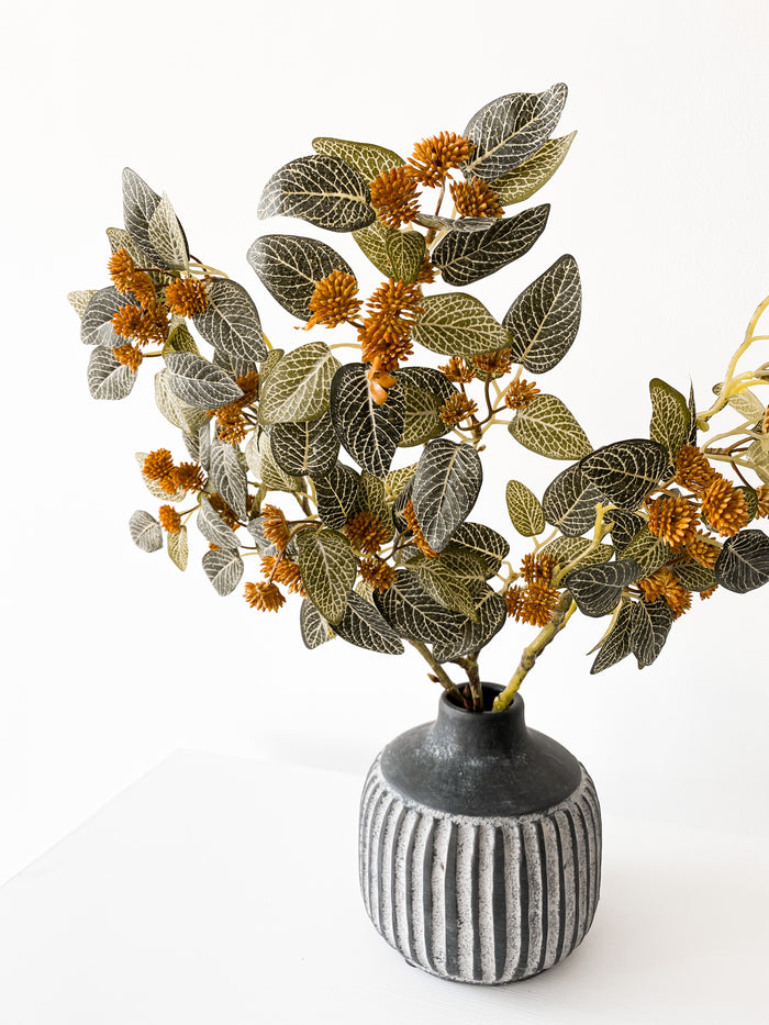 Fittonia Spray