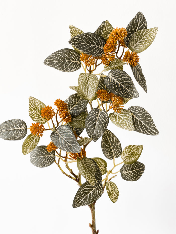 Fittonia Spray