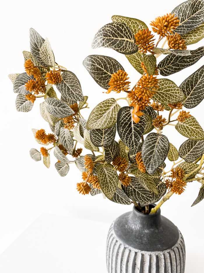 Fittonia Spray
