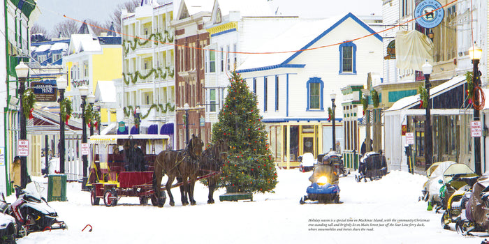 Four Seasons of Mackinac Book