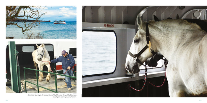 Four Seasons of Mackinac Book