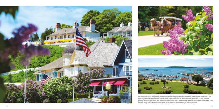 Four Seasons of Mackinac Book