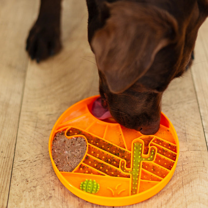 Messy Mutts Desert motif 8" Silicone Dog Lick Bowl Interactive Dog Bowl