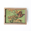 Monarch on Tansy Magnet