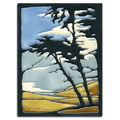 Montana de Oro – 6x8 art tile