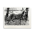 A casually elegant card featuring horse art by Natalia Wohletz titled Morning Frolic featuring a horse and wildflowers.