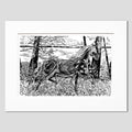 Horse art by Natalia Wohletz of Peninsula Prints, Milford & Mackinac Island, Michigan, titled Morning Frolic #1.