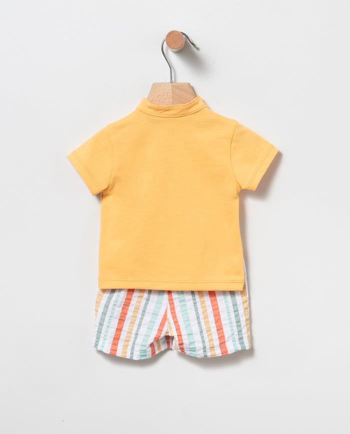 Polo Set Rayas
