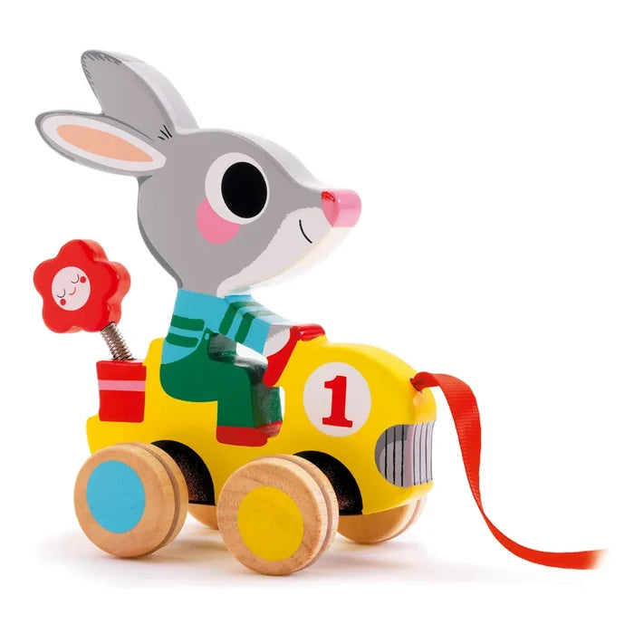 Pull Along Toy Roulapic