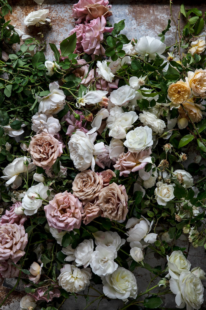 1000-piece jigsaw puzzle with dense bouquet of roses in whites, pinks, and gold