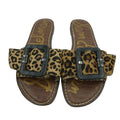 Sam Edelman Gaige flat sandals with cheetah print haircalf, women's size 8.5, showcasing stylish animal print footwear.