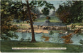Springfield Illinois Washington Park Boat House Vintage Postcard c. 1910 (unused) - Vintage Postcard Boutique