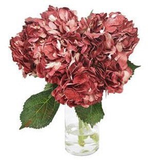 Stems In Bulk: Glitzy Red Airbrushed Hydrangea