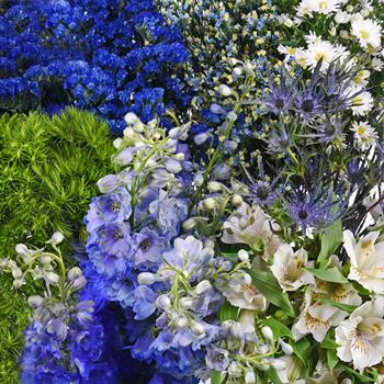 DIY wedding flowers | Cheap wedding bouquet | DIY wedding bouquet | For sale wedding flowers | DIY flower centerpieces | DIY wedding centerpieces | DIY cheap | Cheap florist Louisville KY | Wedding florist Louisville KY | Wedding florist near me | Florist near me