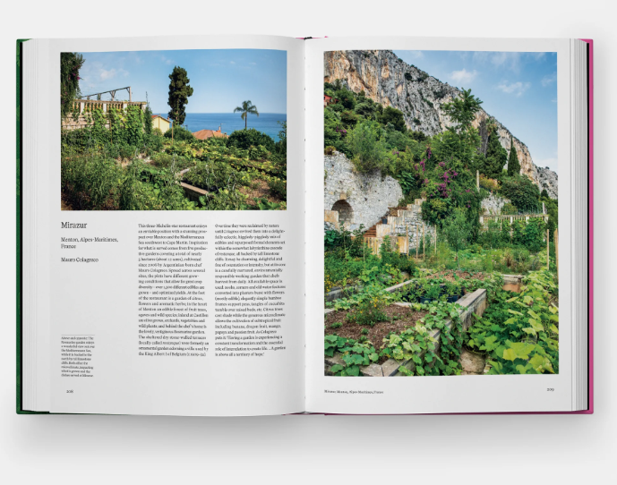 The Kitchen Garden